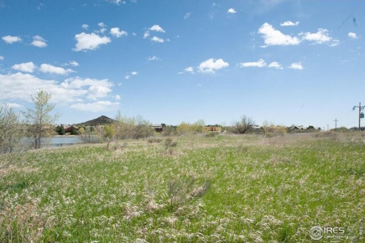 Picture of Residential Land For Sale in Loveland, Colorado, United States