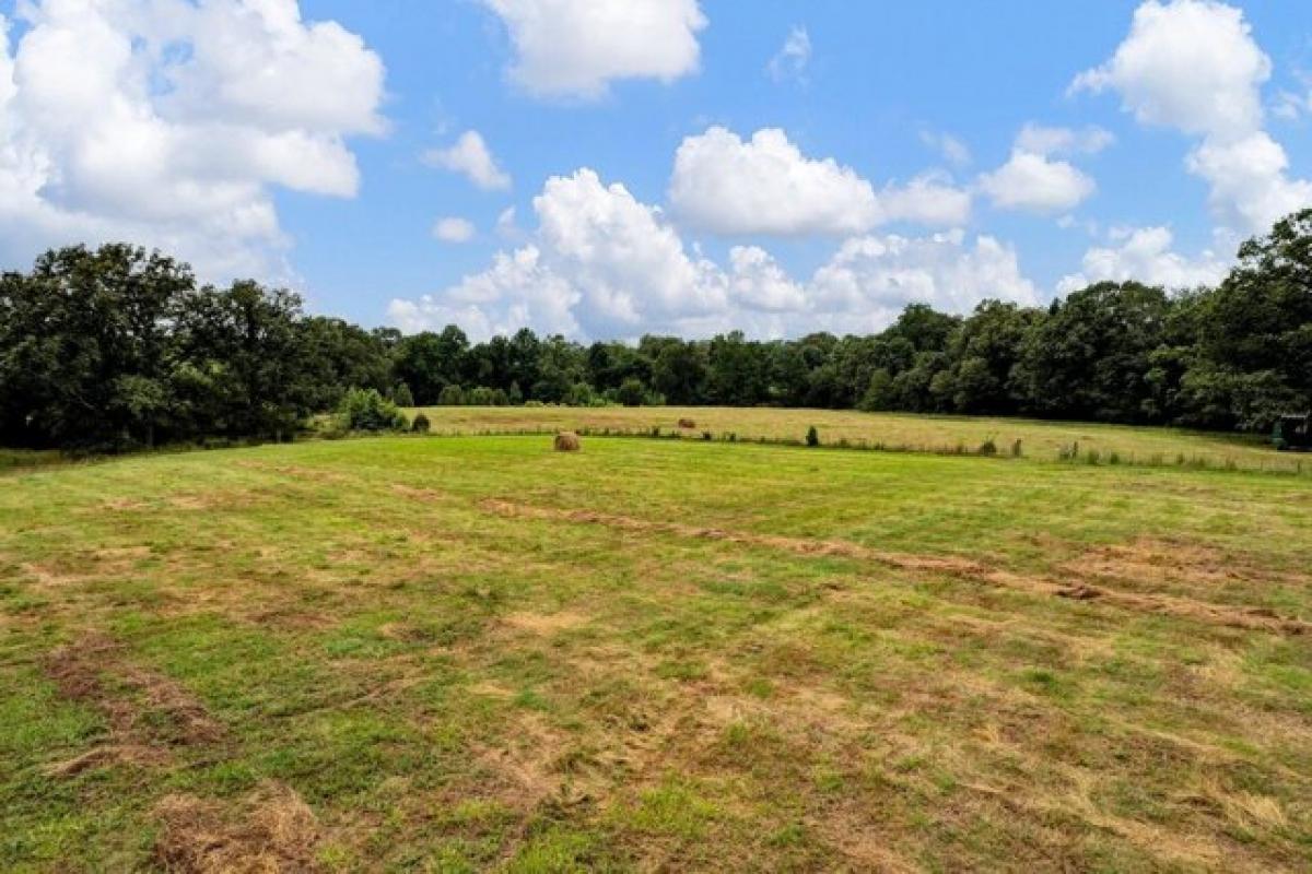 Picture of Residential Land For Sale in Somerville, Tennessee, United States