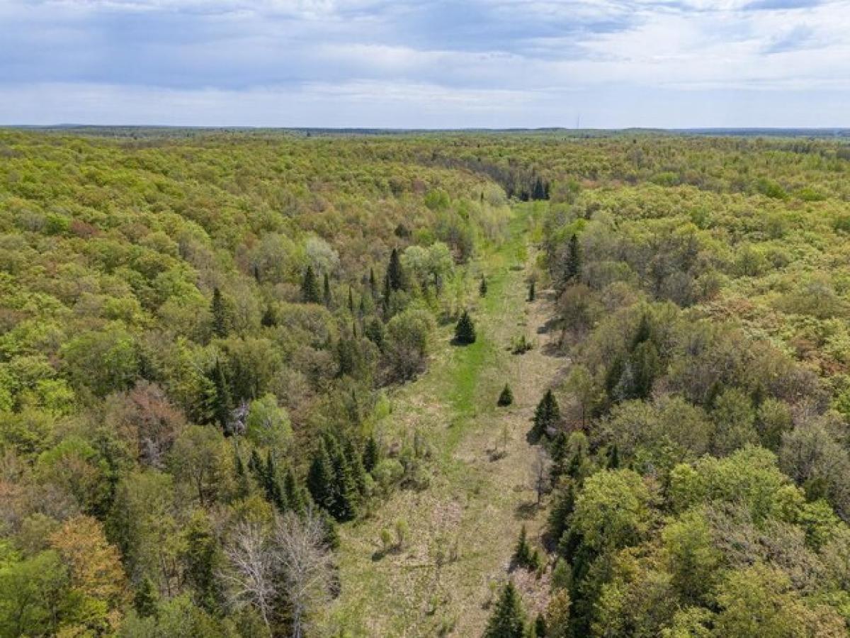 Picture of Residential Land For Sale in Marenisco, Michigan, United States