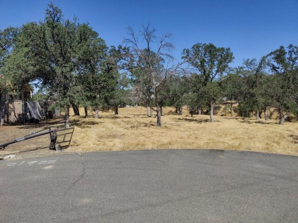 Picture of Residential Land For Sale in Cottonwood, California, United States