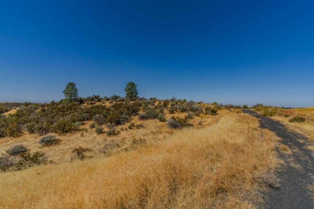 Picture of Residential Land For Sale in Valley Springs, California, United States