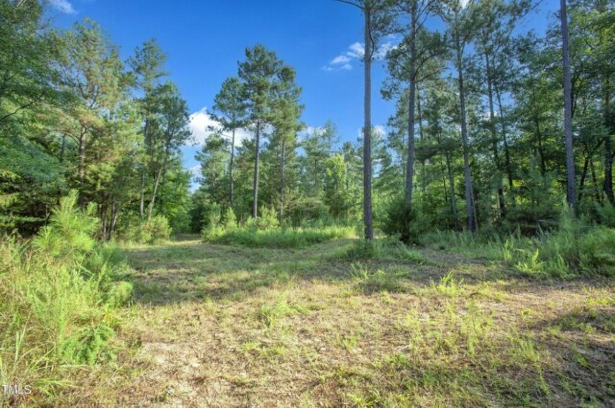 Picture of Residential Land For Sale in Pittsboro, North Carolina, United States