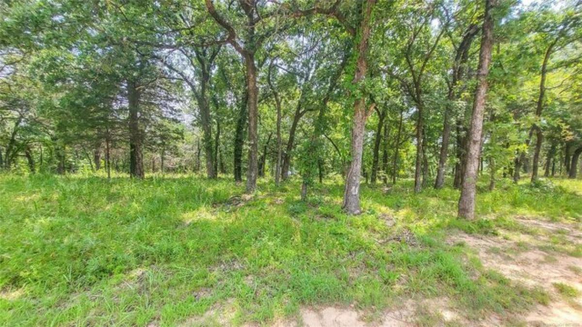 Picture of Residential Land For Sale in Eufaula, Oklahoma, United States