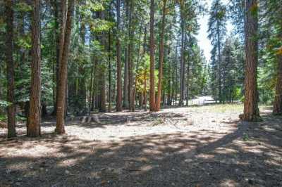 Residential Land For Sale in Shingletown, California