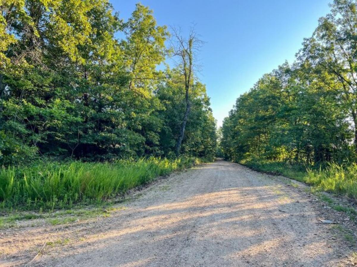 Picture of Residential Land For Sale in West Plains, Missouri, United States