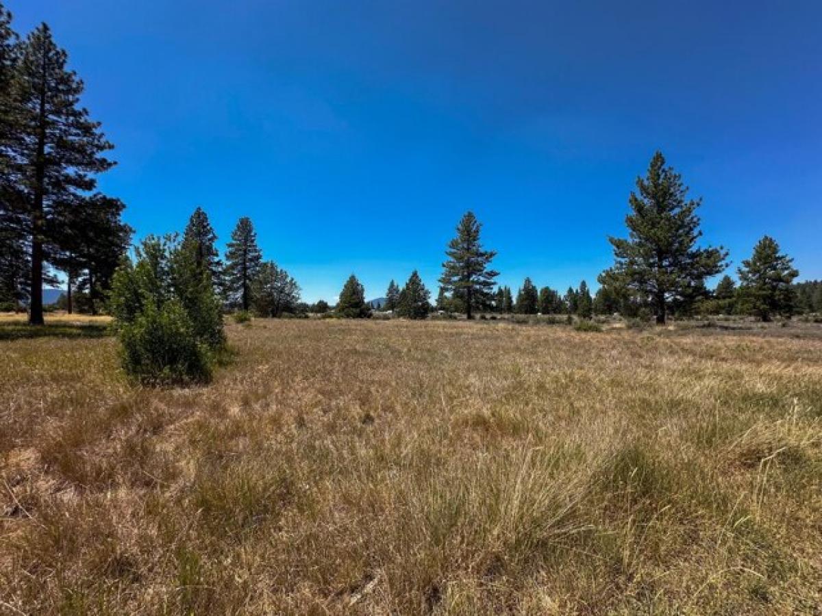 Picture of Residential Land For Sale in Sprague River, Oregon, United States