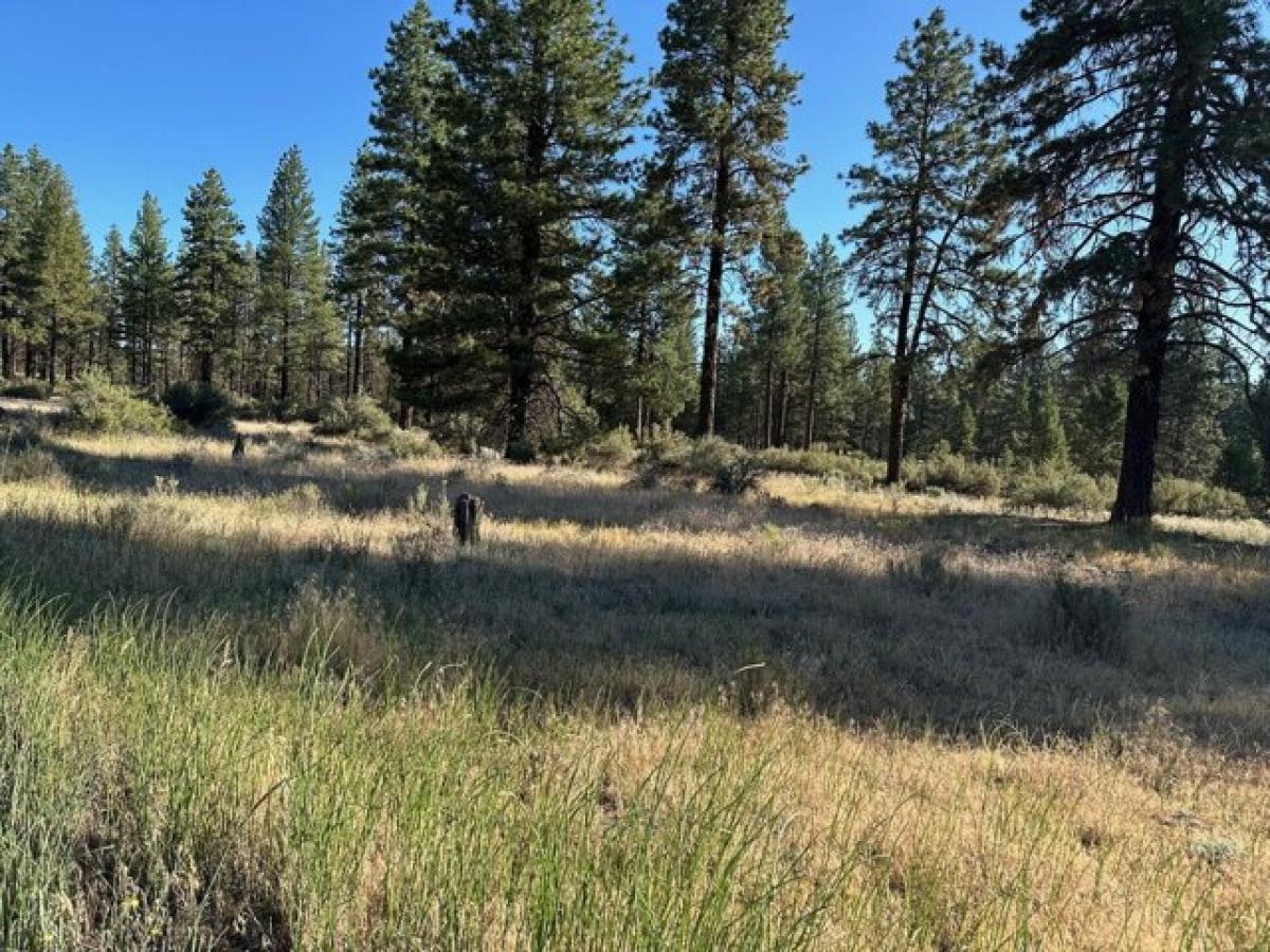 Picture of Residential Land For Sale in Bonanza, Oregon, United States