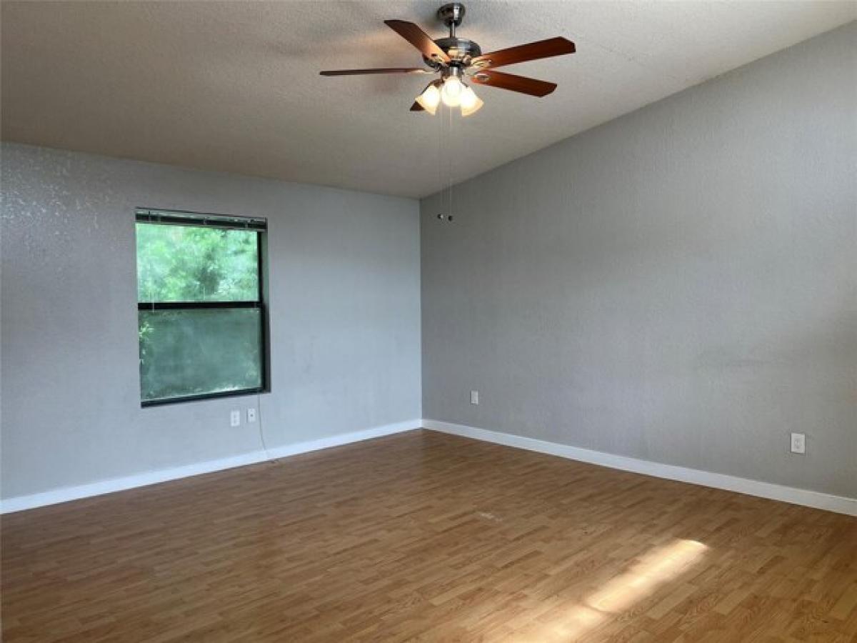 Picture of Apartment For Rent in Denton, Texas, United States