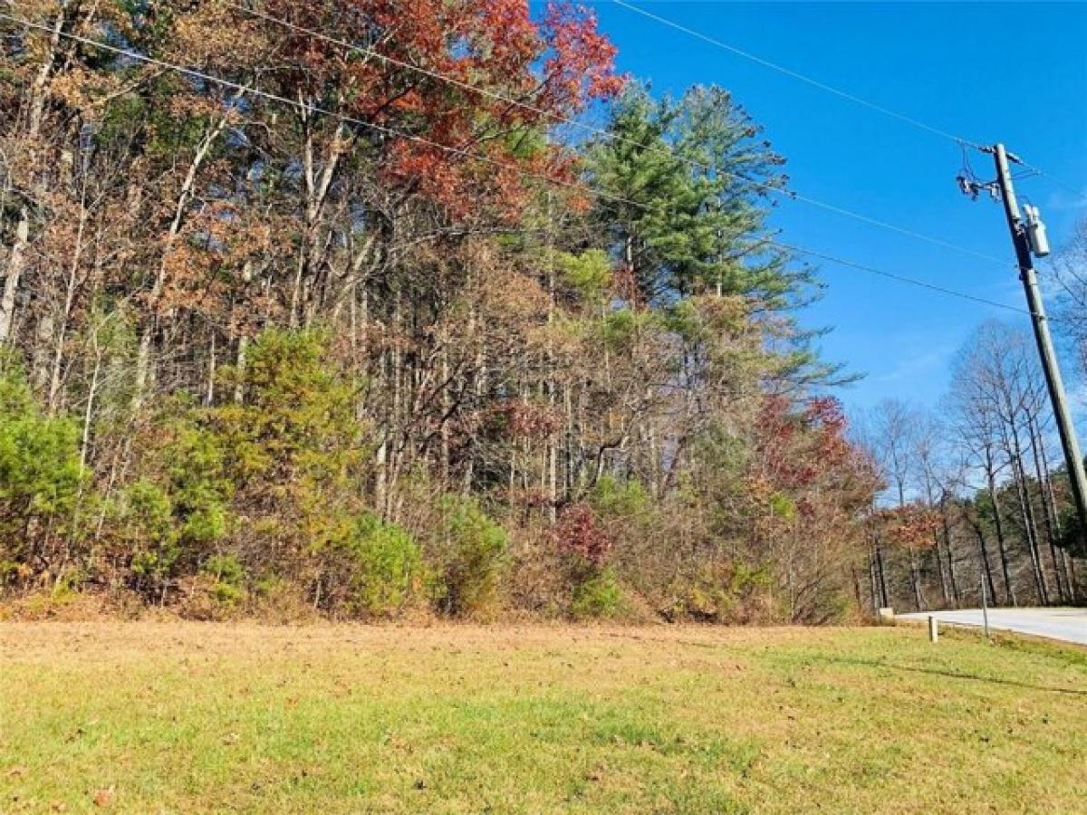 Picture of Residential Land For Sale in Zirconia, North Carolina, United States