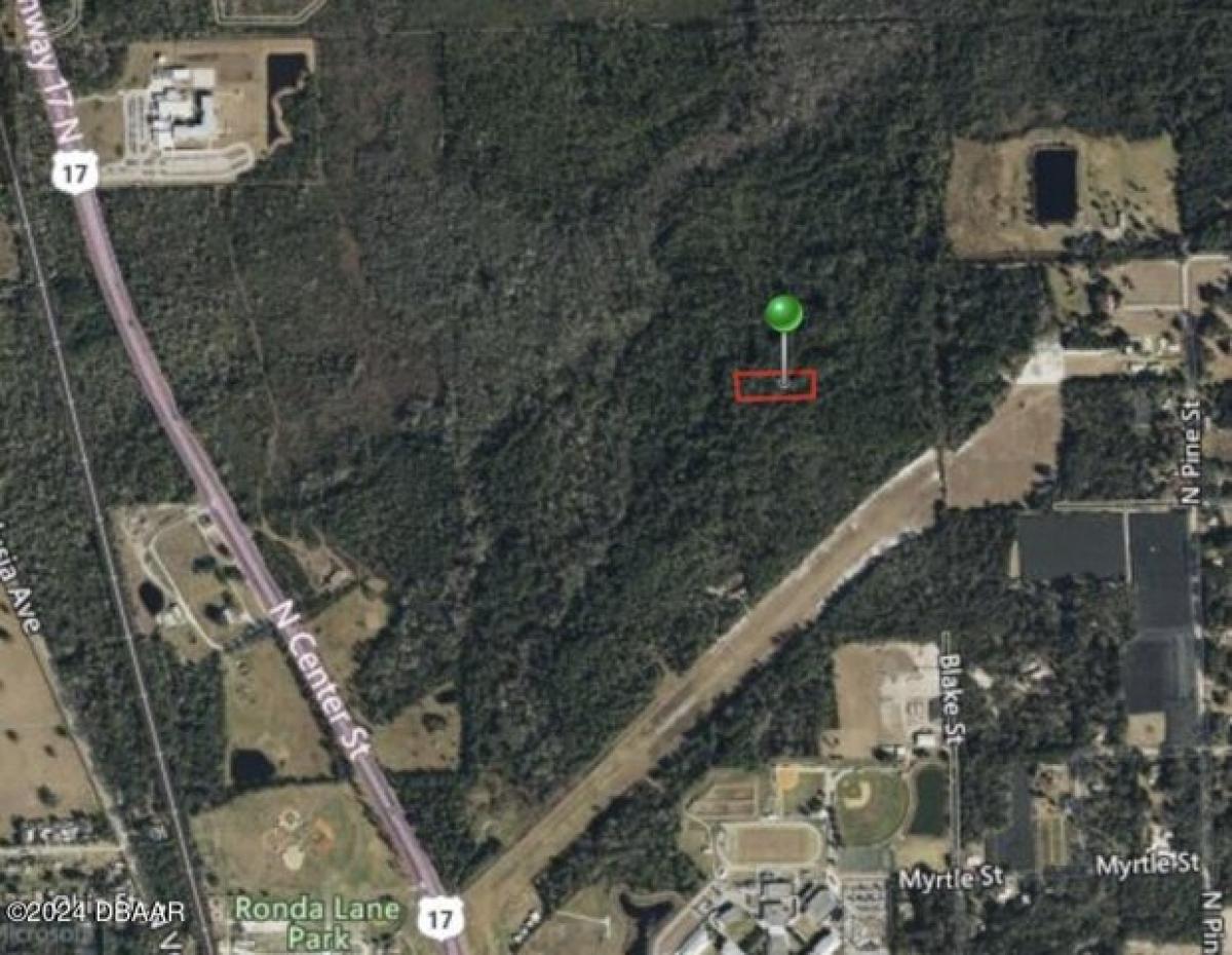 Picture of Residential Land For Sale in Pierson, Florida, United States