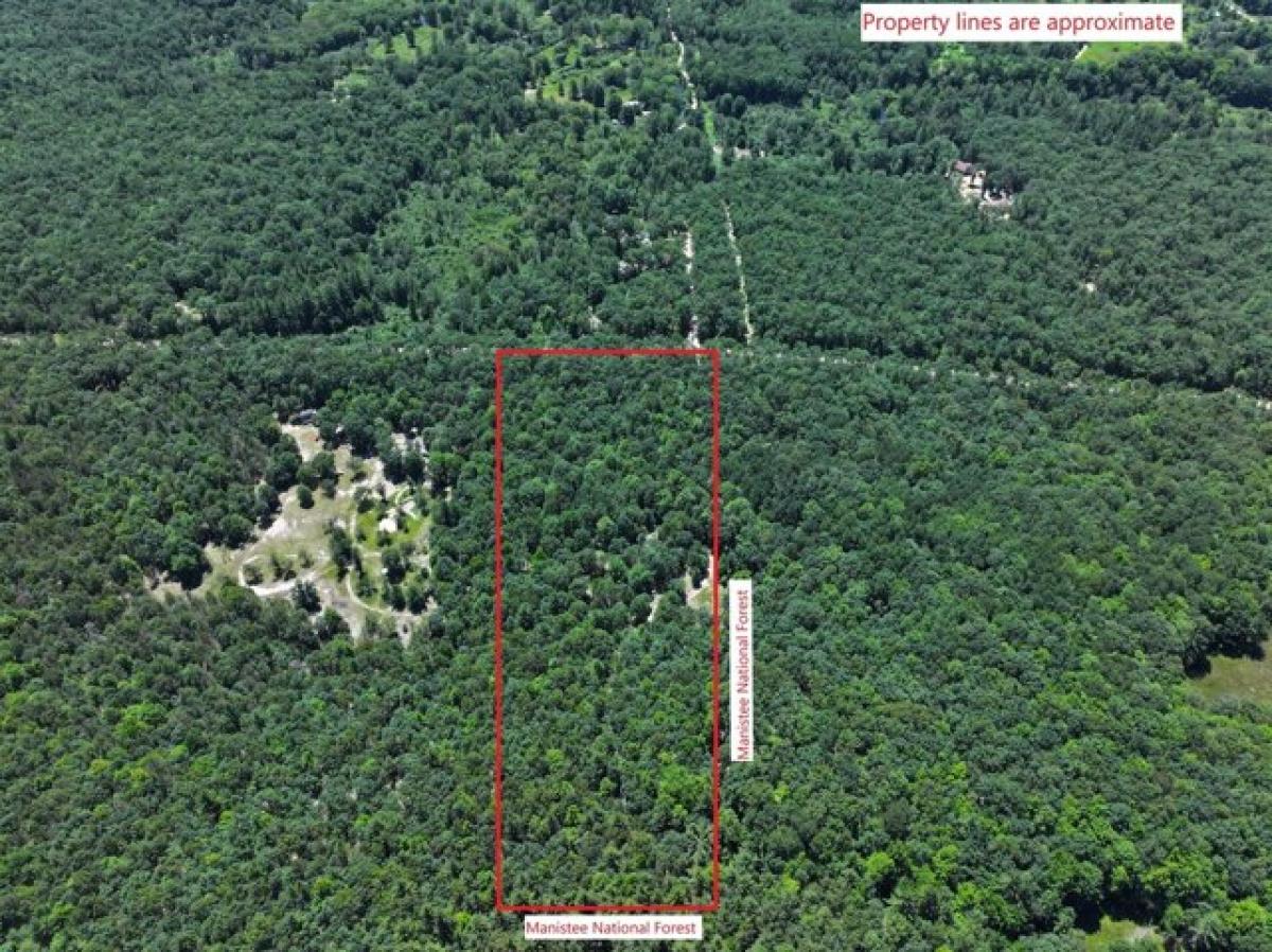 Picture of Residential Land For Sale in Free Soil, Michigan, United States