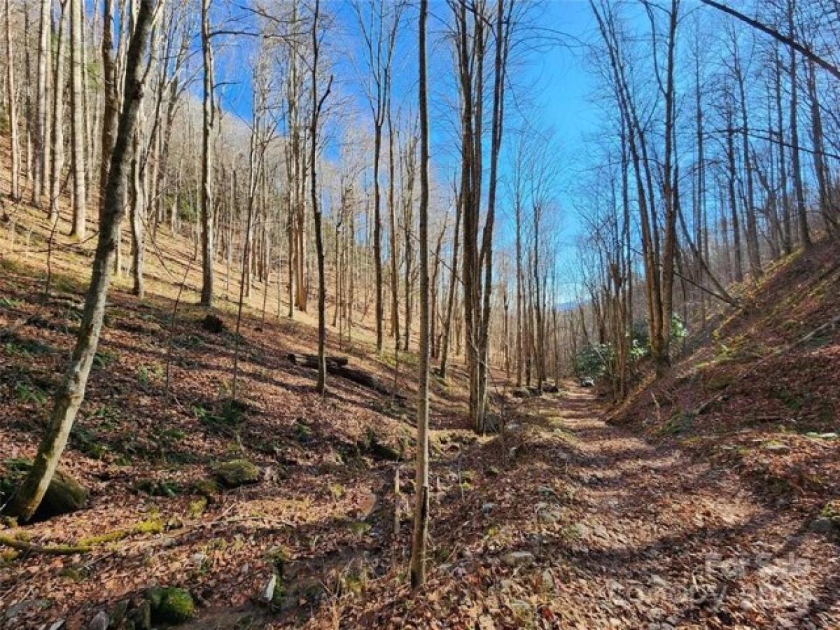 Picture of Residential Land For Sale in Bakersville, North Carolina, United States