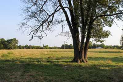 Residential Land For Sale in 