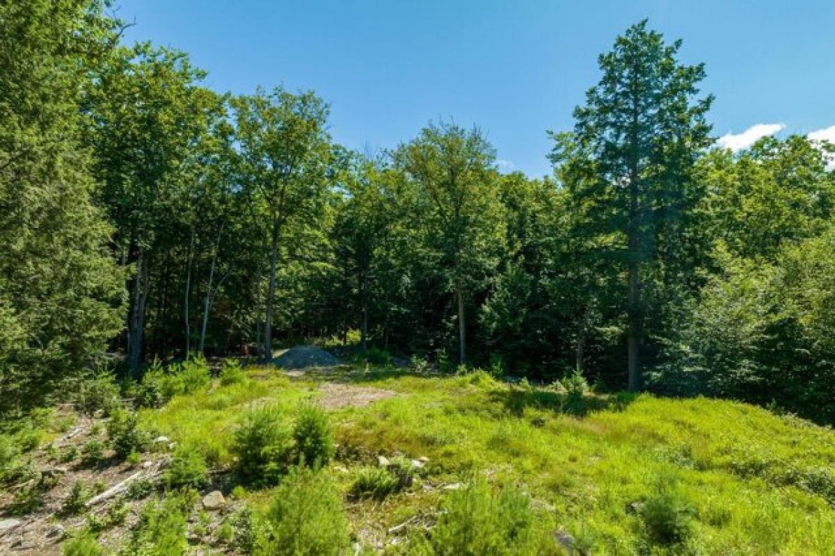 Picture of Residential Land For Sale in Raymond, Maine, United States