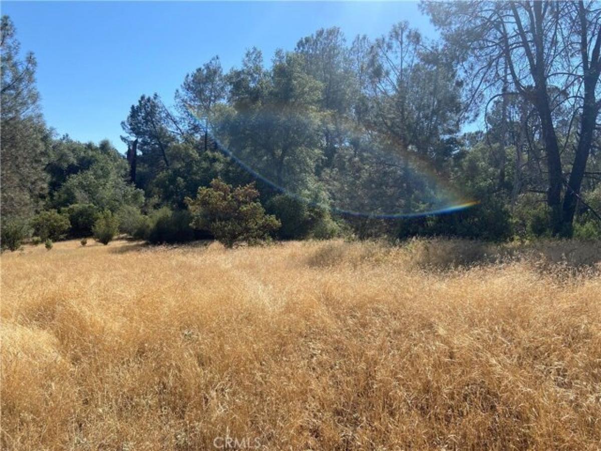 Picture of Residential Land For Sale in Mariposa, California, United States