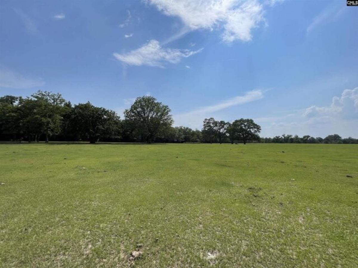 Picture of Residential Land For Sale in Wagener, South Carolina, United States