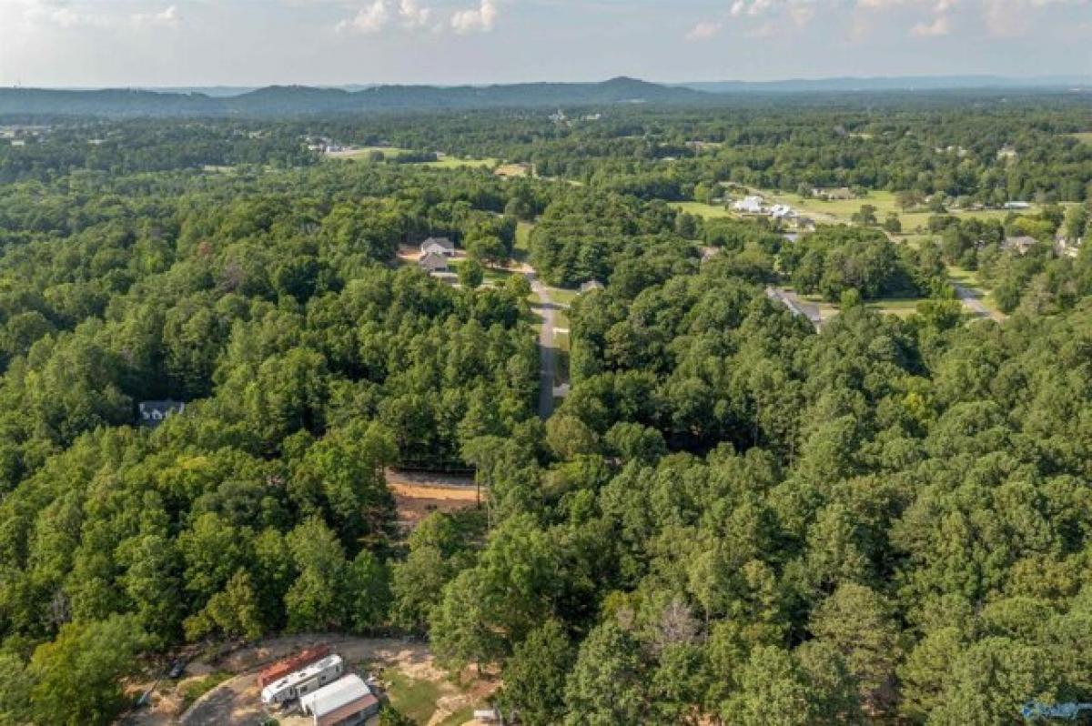 Picture of Residential Land For Sale in Southside, Alabama, United States