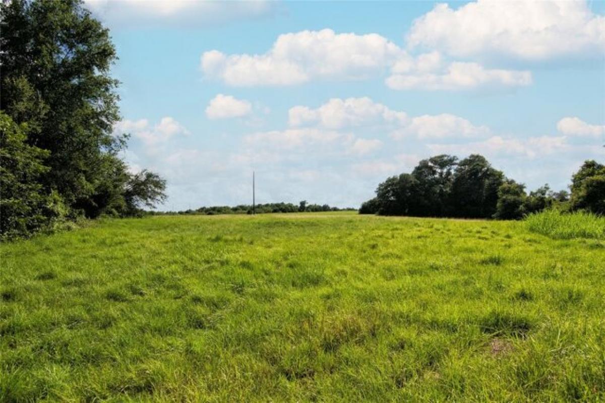 Picture of Residential Land For Sale in Schulenburg, Texas, United States