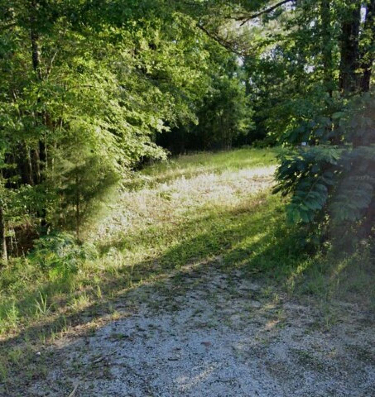 Picture of Residential Land For Sale in Dixons Mills, Alabama, United States