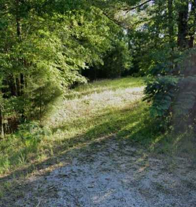 Residential Land For Sale in Dixons Mills, Alabama