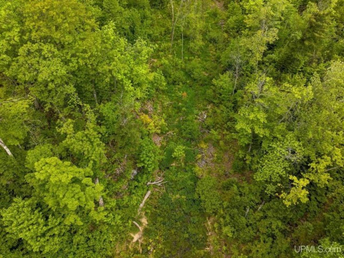 Picture of Residential Land For Sale in Negaunee, Michigan, United States