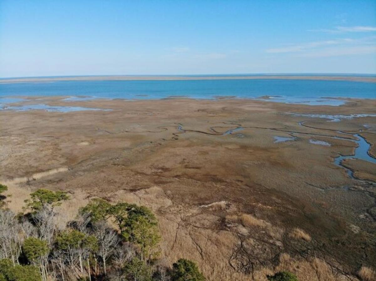 Picture of Residential Land For Sale in Cape Charles, Virginia, United States