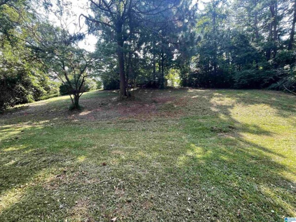 Picture of Residential Land For Sale in Leeds, Alabama, United States