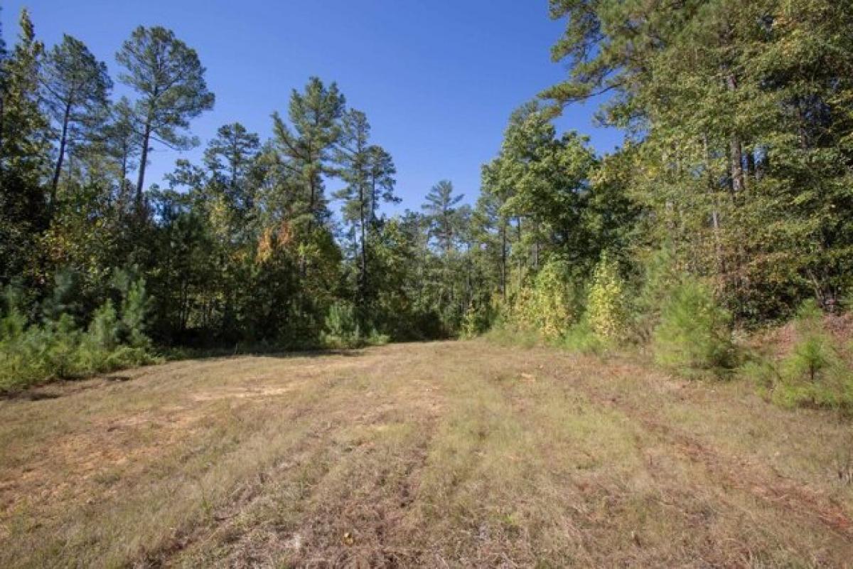 Picture of Residential Land For Sale in Sanford, North Carolina, United States