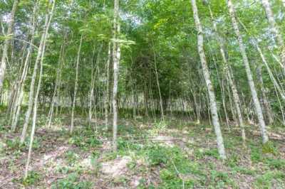 Residential Land For Sale in 