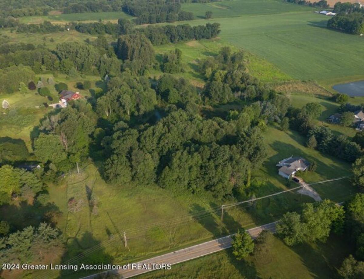 Picture of Residential Land For Sale in Laingsburg, Michigan, United States