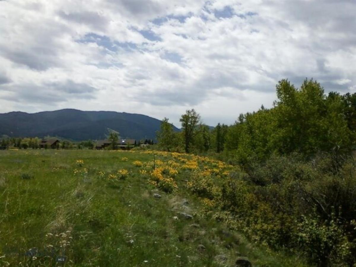 Picture of Residential Land For Sale in Bozeman, Montana, United States