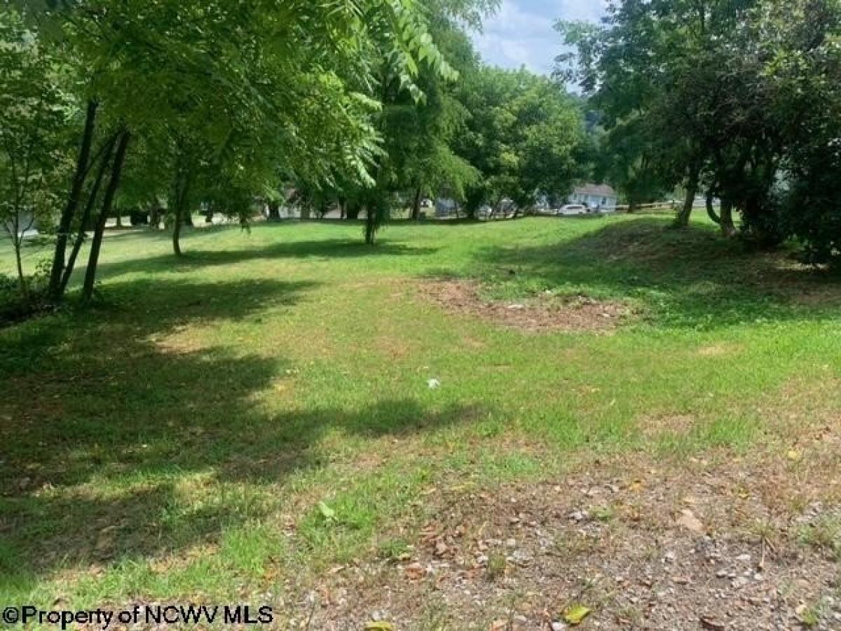 Picture of Residential Land For Sale in Belington, West Virginia, United States