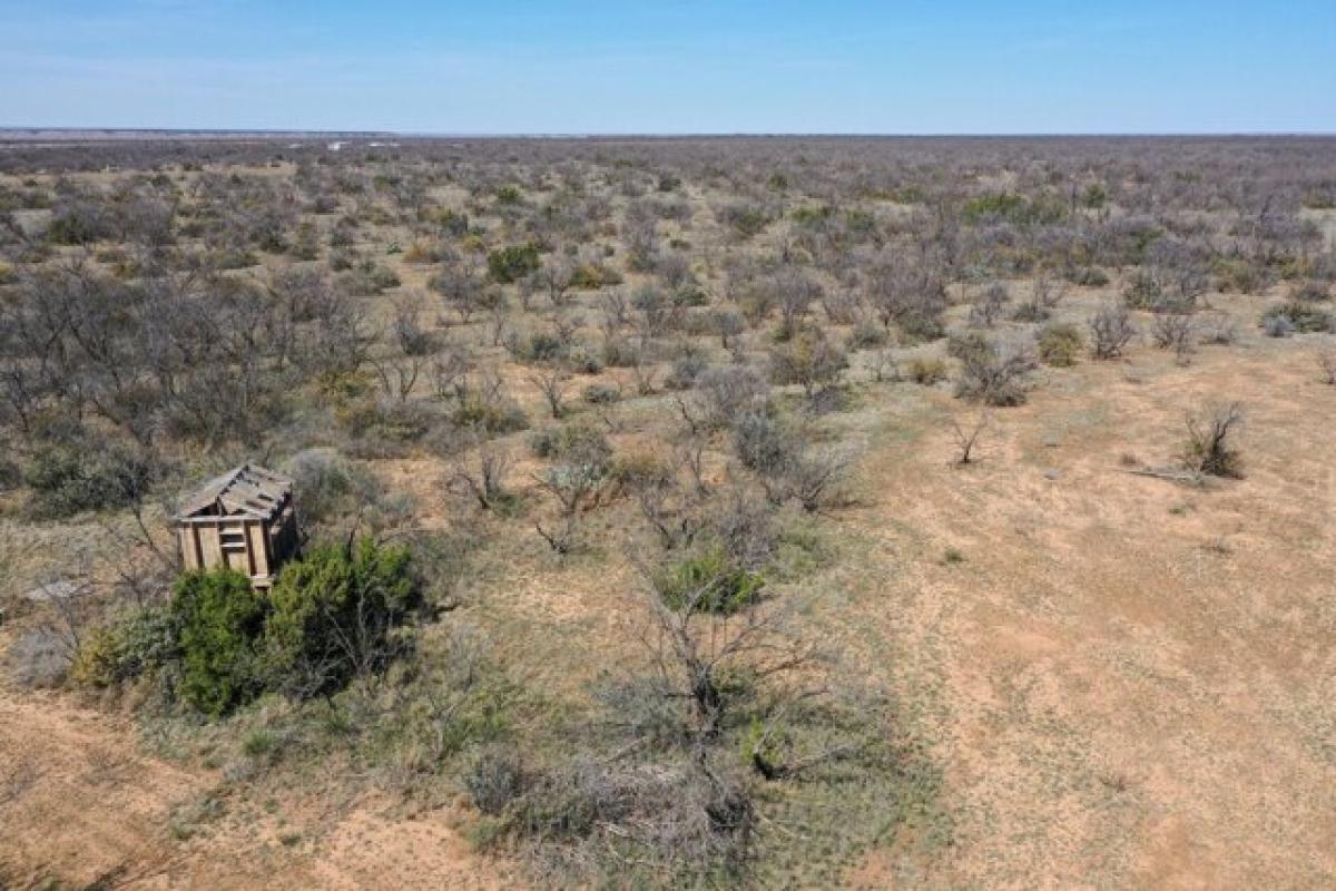 Picture of Residential Land For Sale in Lubbock, Texas, United States