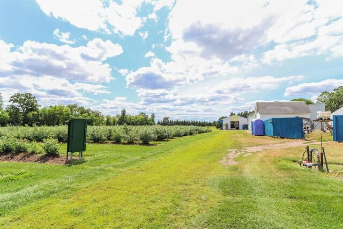 Picture of Residential Land For Sale in Custer, Wisconsin, United States