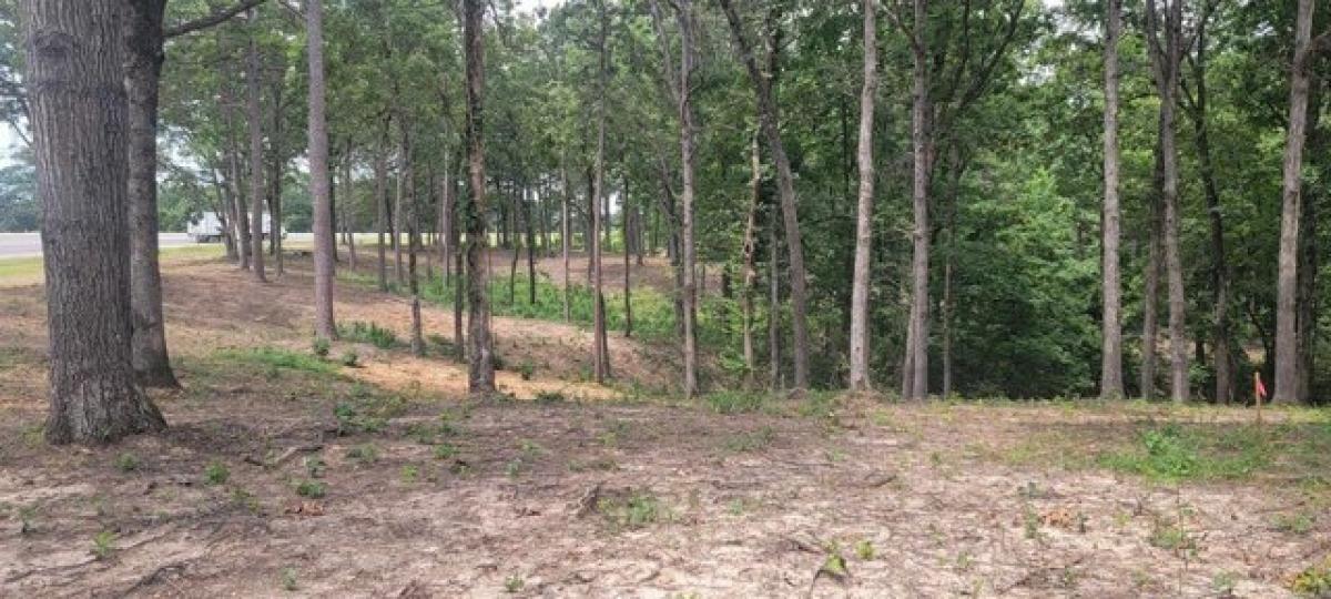 Picture of Residential Land For Sale in Paragould, Arkansas, United States