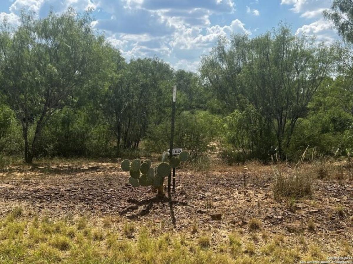 Picture of Residential Land For Sale in Moore, Texas, United States