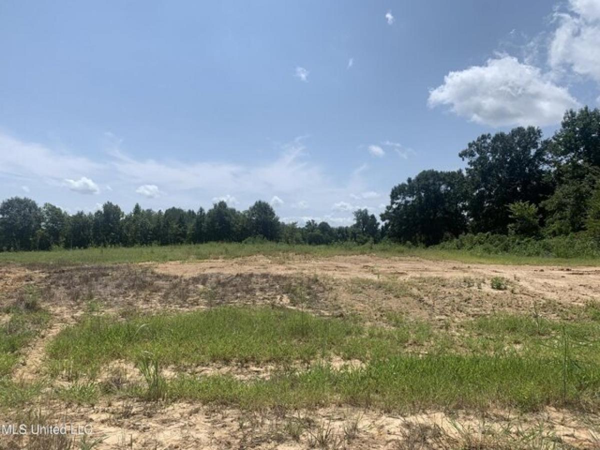 Picture of Residential Land For Sale in Byhalia, Mississippi, United States