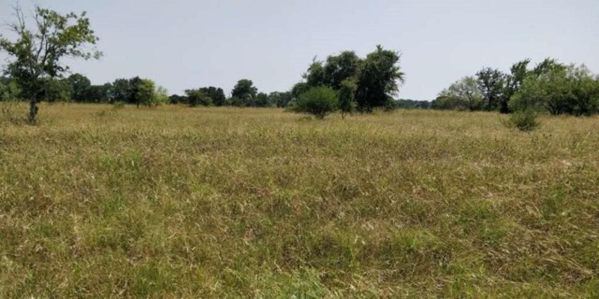 Picture of Residential Land For Sale in Luling, Texas, United States