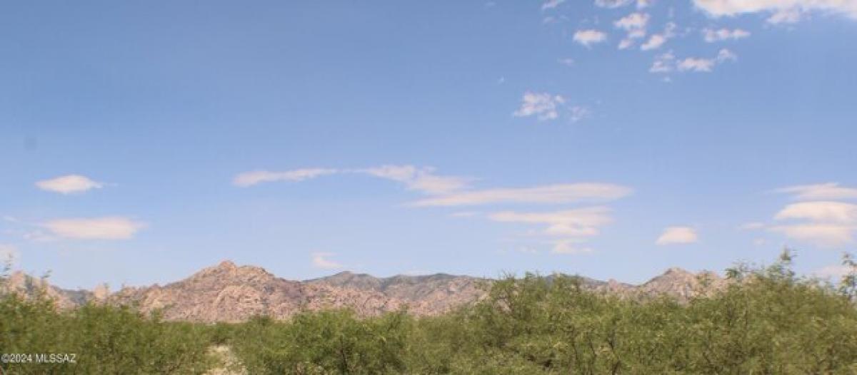 Picture of Residential Land For Sale in Saint David, Arizona, United States