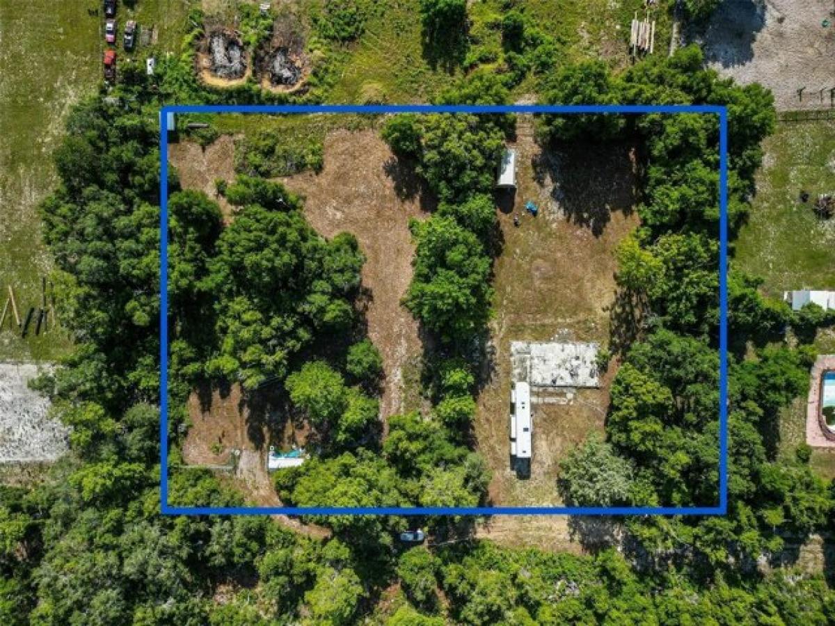 Picture of Residential Land For Sale in Umatilla, Florida, United States