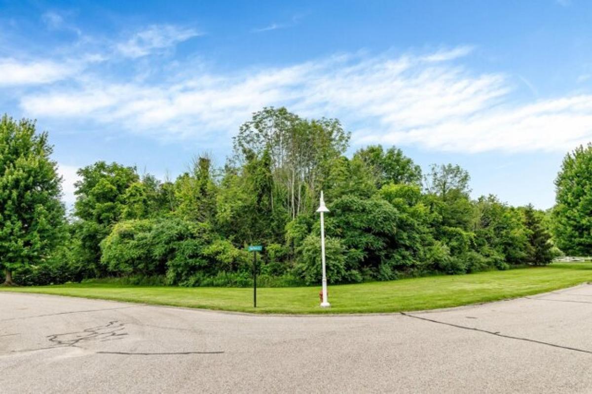 Picture of Residential Land For Sale in South Haven, Michigan, United States