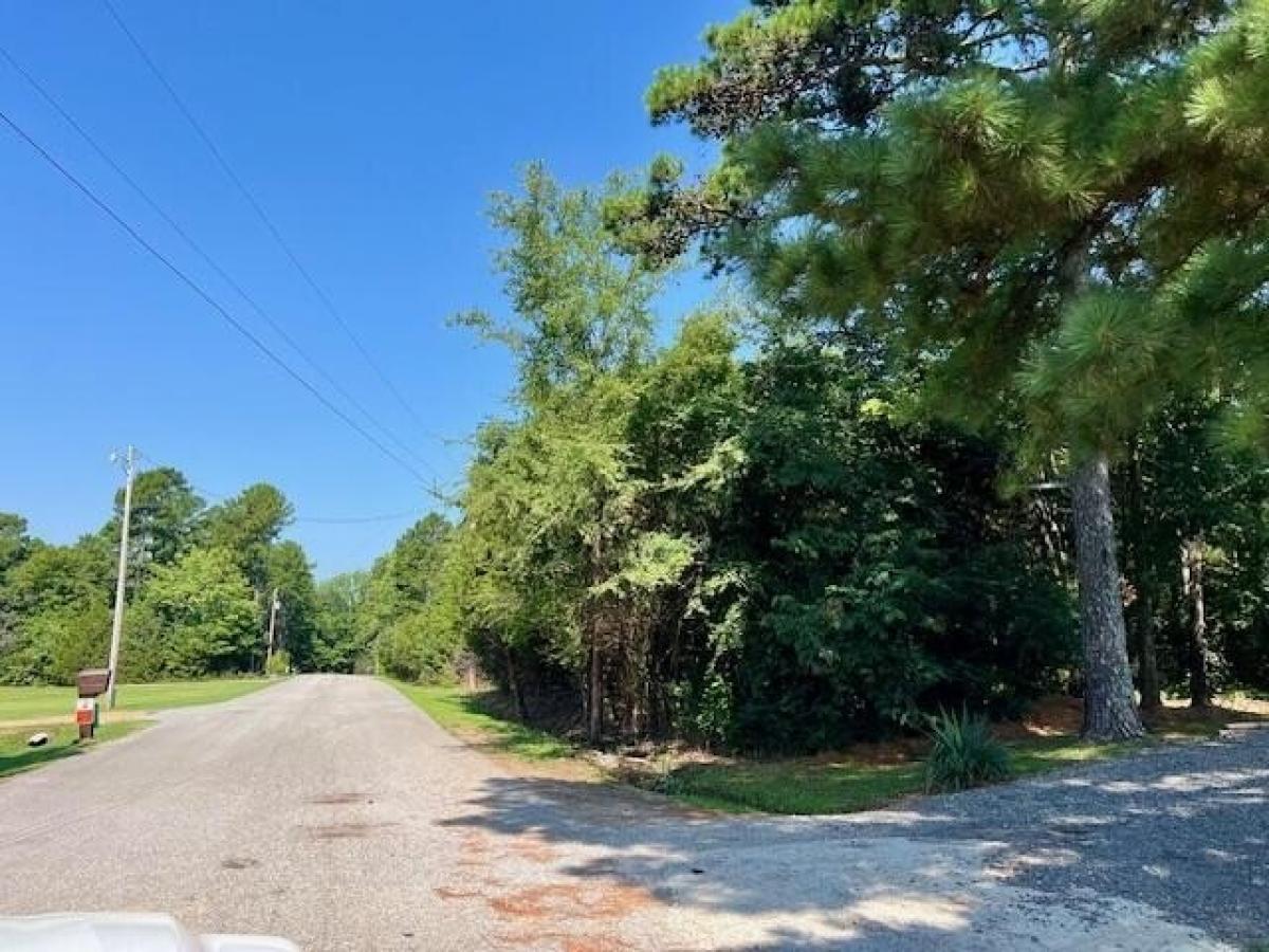 Picture of Residential Land For Sale in Pleasant Plains, Arkansas, United States