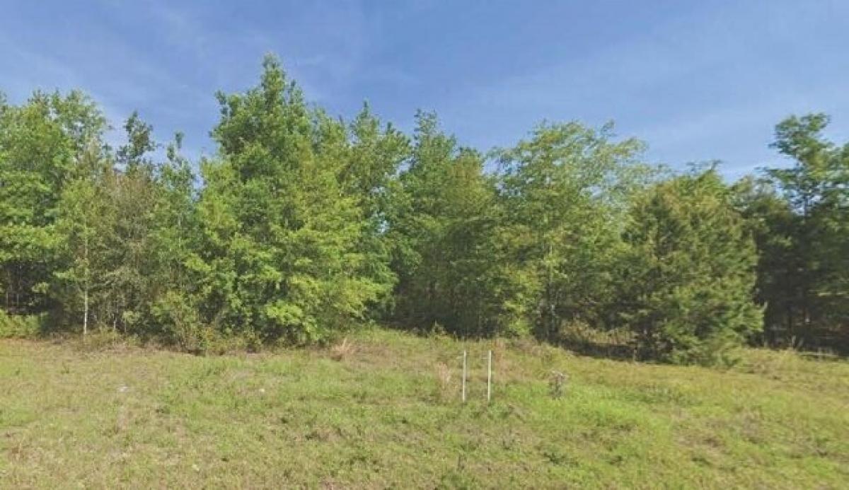 Picture of Residential Land For Sale in Madison, Florida, United States