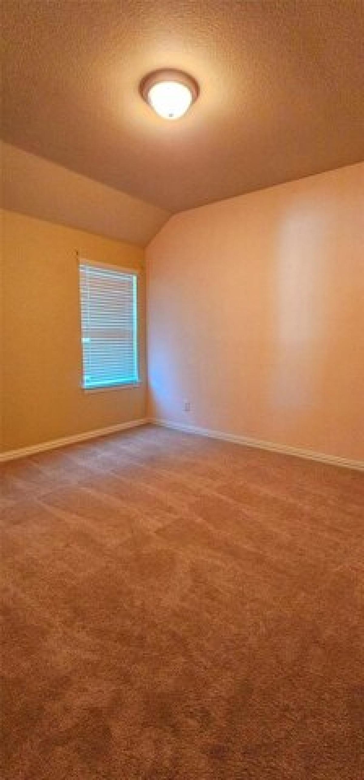 Picture of Home For Rent in Fate, Texas, United States