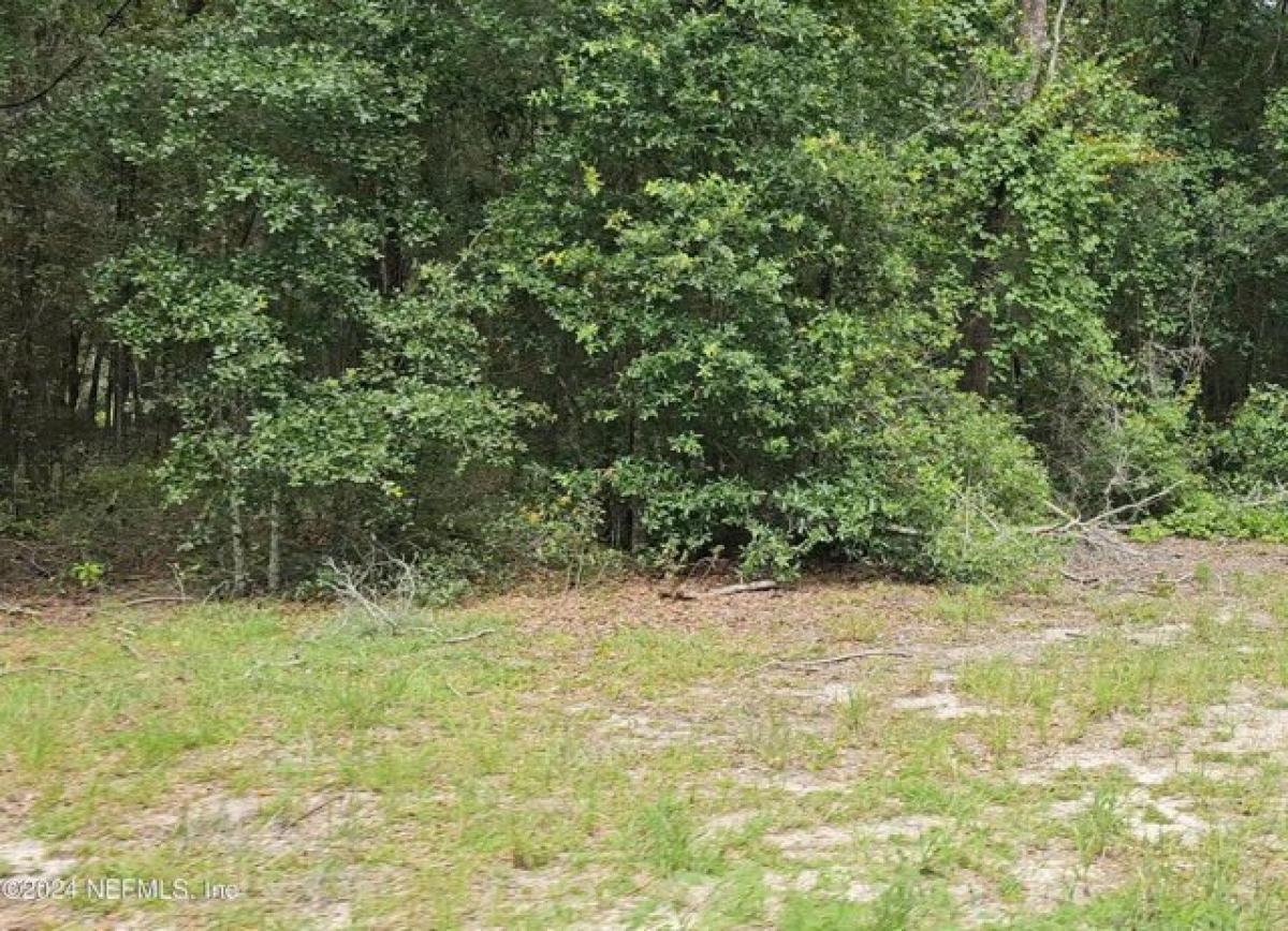 Picture of Residential Land For Sale in Keystone Heights, Florida, United States