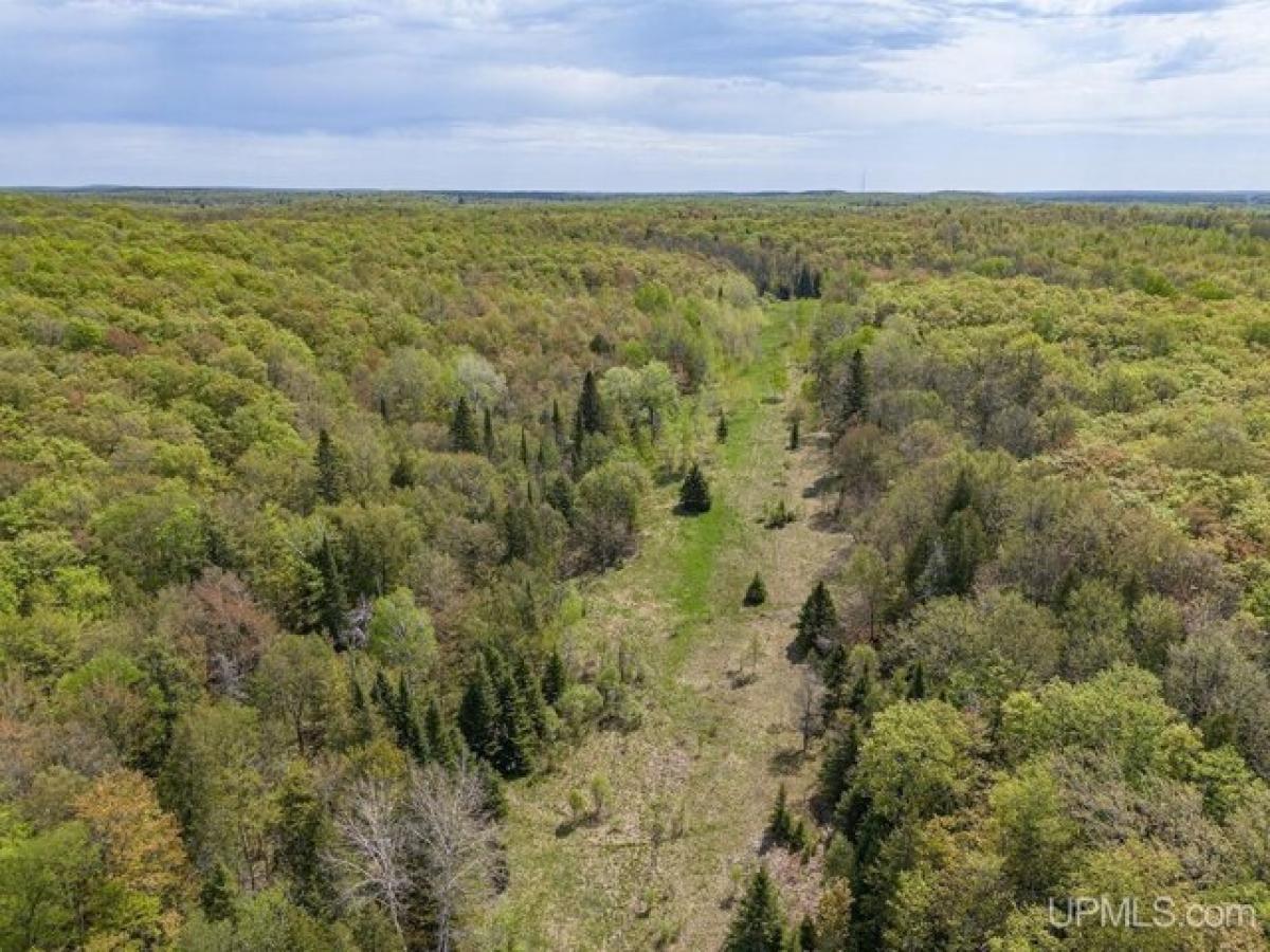 Picture of Residential Land For Sale in Marenisco, Michigan, United States