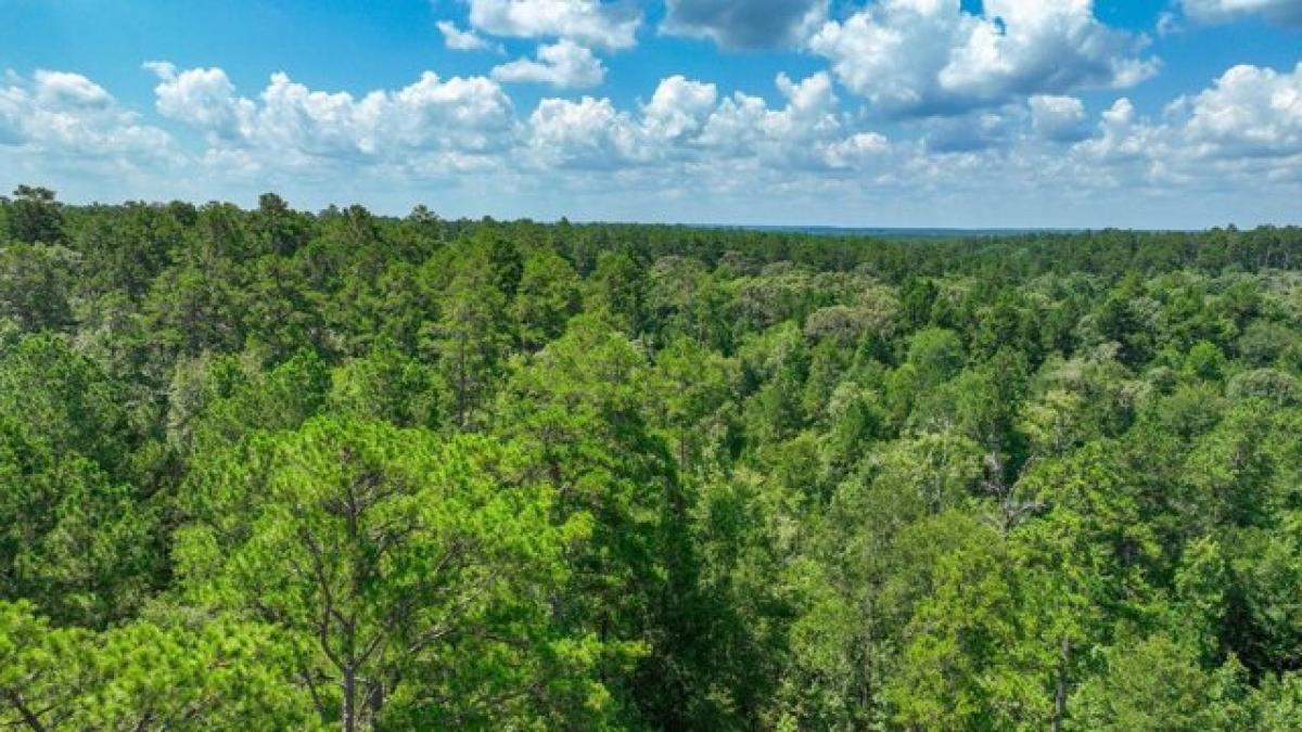 Picture of Residential Land For Sale in Kennard, Texas, United States