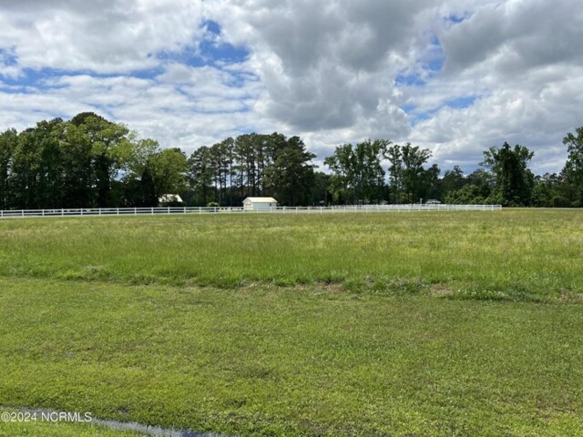 Picture of Residential Land For Sale in Belhaven, North Carolina, United States