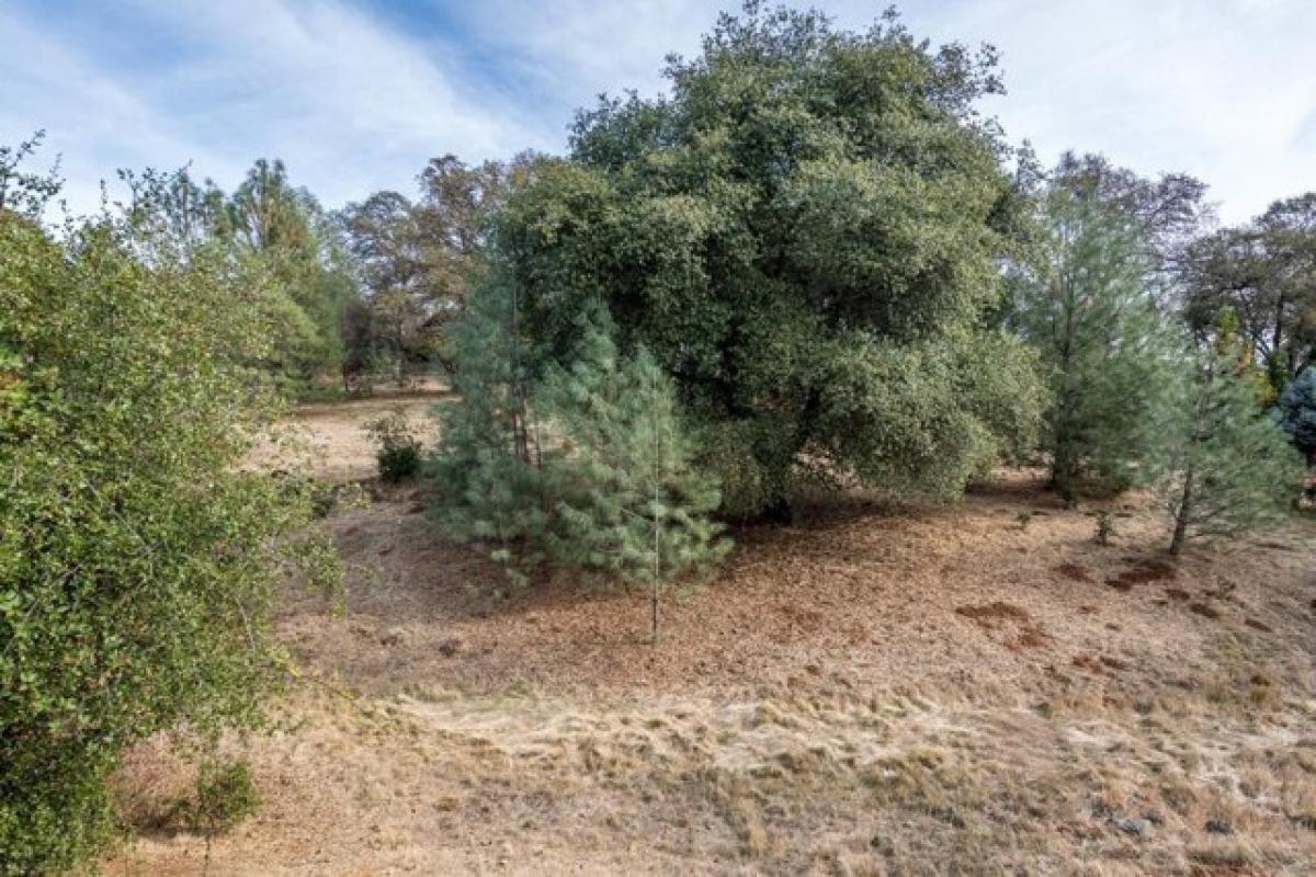 Picture of Residential Land For Sale in Auburn, California, United States