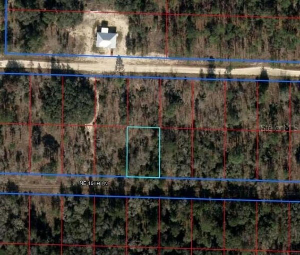 Picture of Residential Land For Sale in Williston, Florida, United States